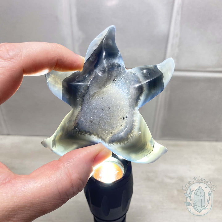 Polished Smoky Blue Druzy Agate Sea Star Carving