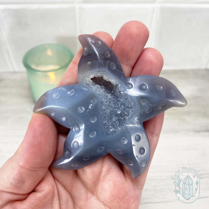 Polished Smoky Blue Druzy Agate Sea Star Carving