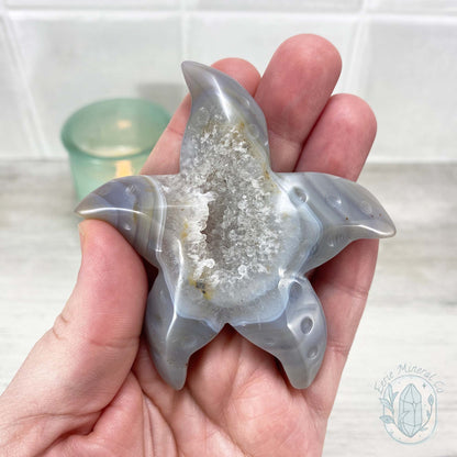 Polished Grey & White Banded Druzy Agate Sea Star Carving