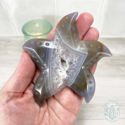 Polished Sandy Gray Banded Druzy Agate Sea Star Carving