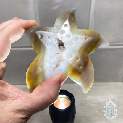 Polished Sandy Gray Banded Druzy Agate Sea Star Carving