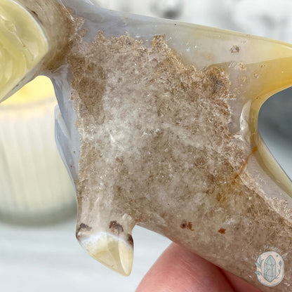 Beach Colored Banded Agate Hammerhead Shark Carving