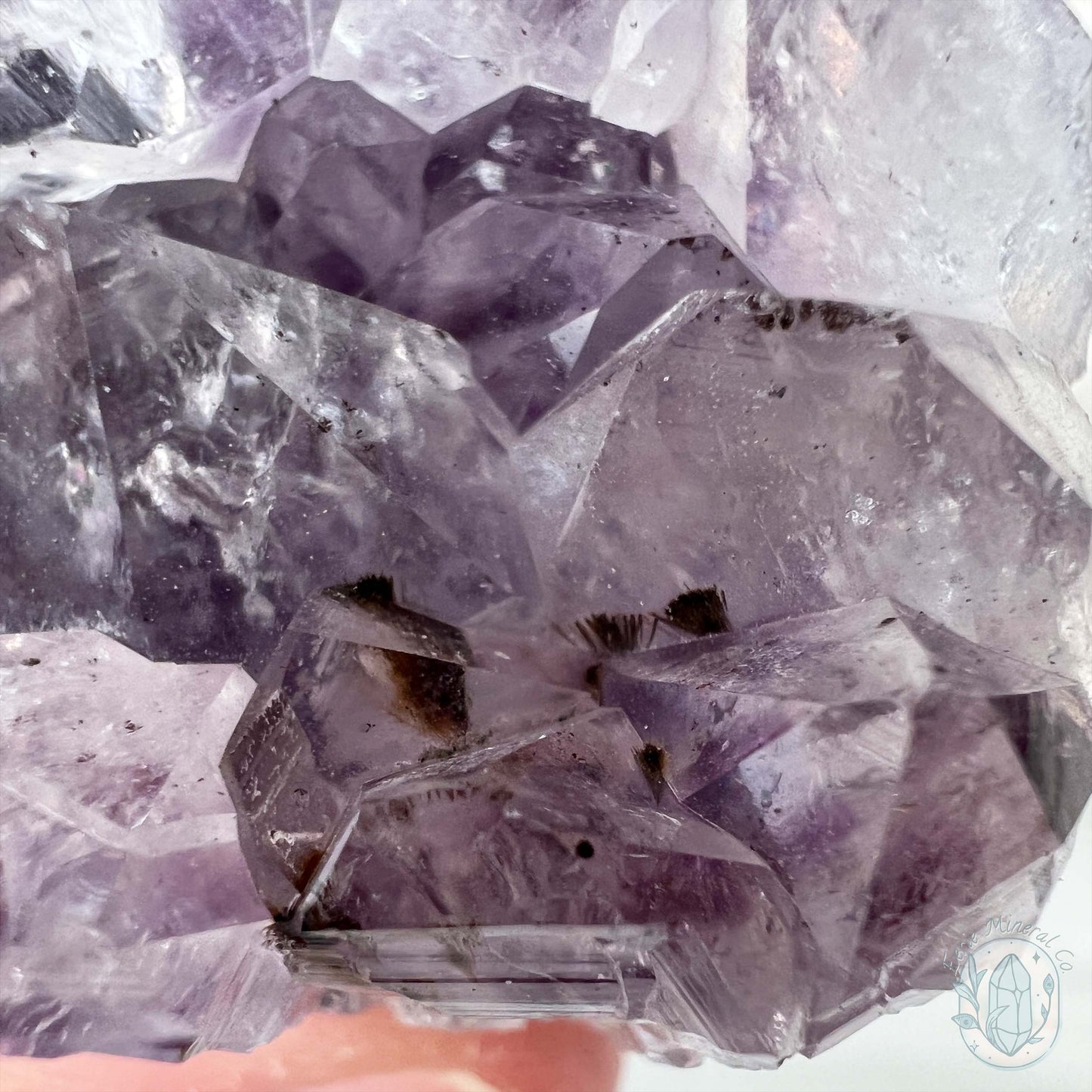 Amethyst Crystal Cluster Pet Rock with Goethite Phantoms