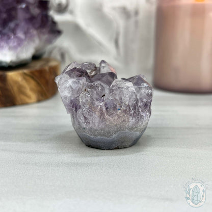 Amethyst Crystal Cluster Pet Rock with Goethite Phantoms