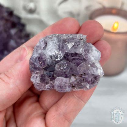 Amethyst Crystal Cluster Pet Rock with Goethite Phantoms