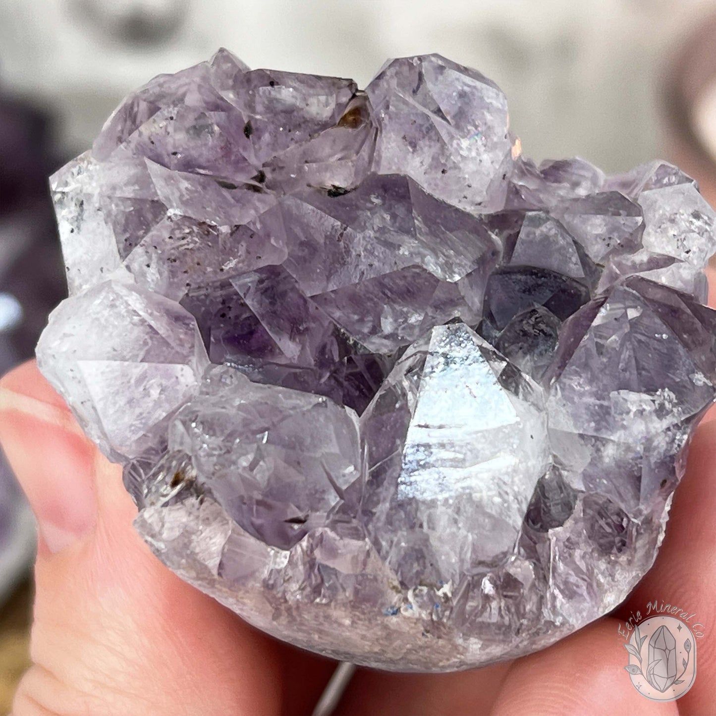 Amethyst Crystal Cluster Pet Rock with Goethite Phantoms