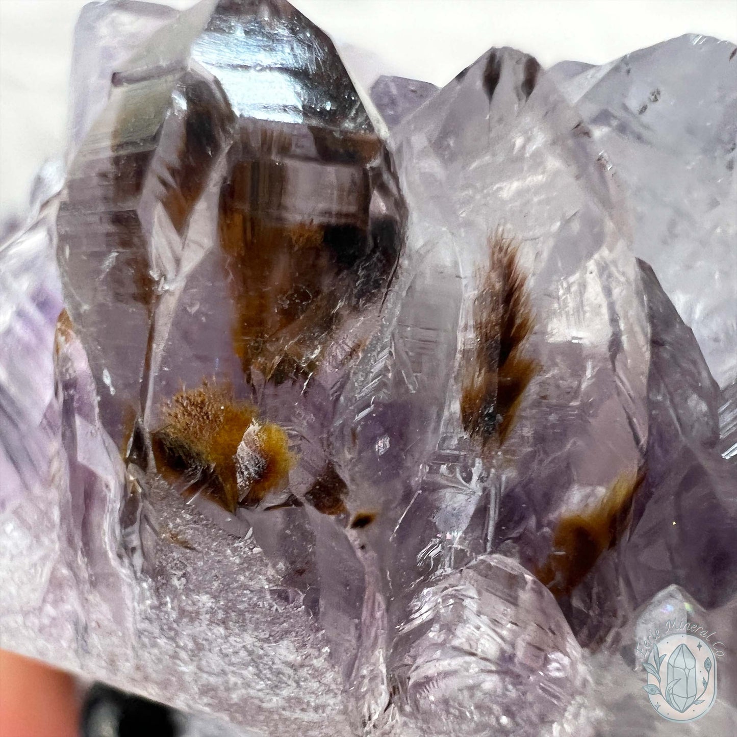 Amethyst Crystal Cluster Pet Rock with Goethite Phantoms