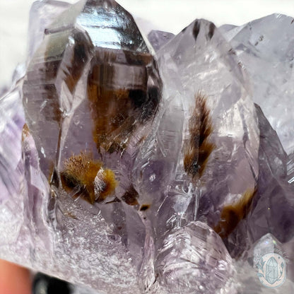 Amethyst Crystal Cluster Pet Rock with Goethite Phantoms