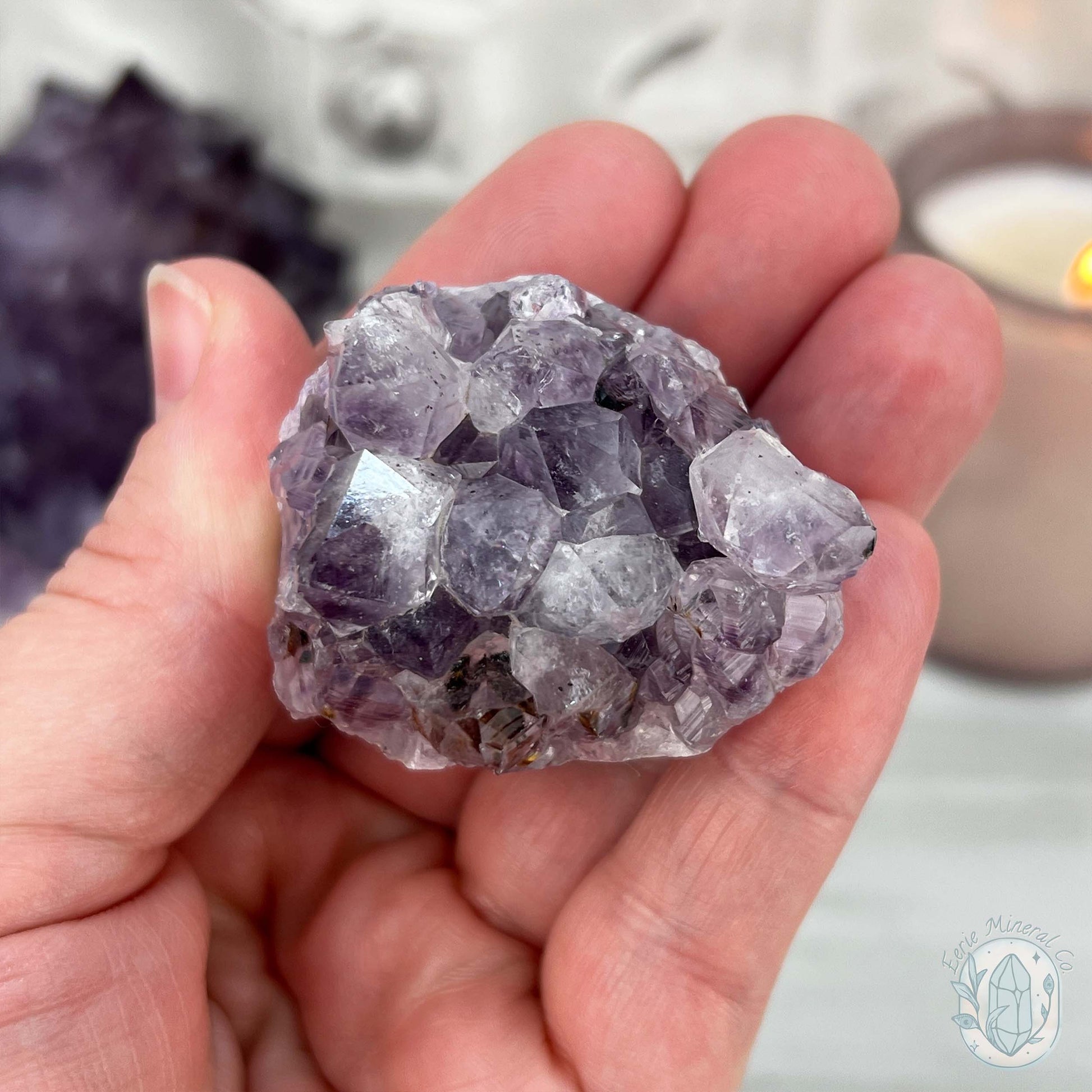 Amethyst Crystal Cluster Pet Rock with Goethite Phantoms