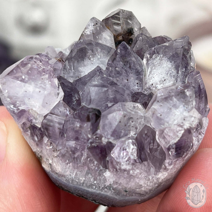 Amethyst Crystal Cluster Pet Rock with Goethite Phantoms