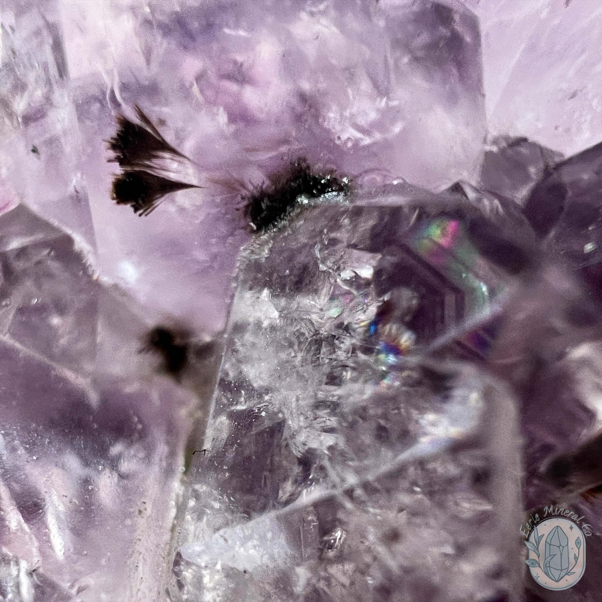 Amethyst Crystal Cluster with Goethite Pet Rock