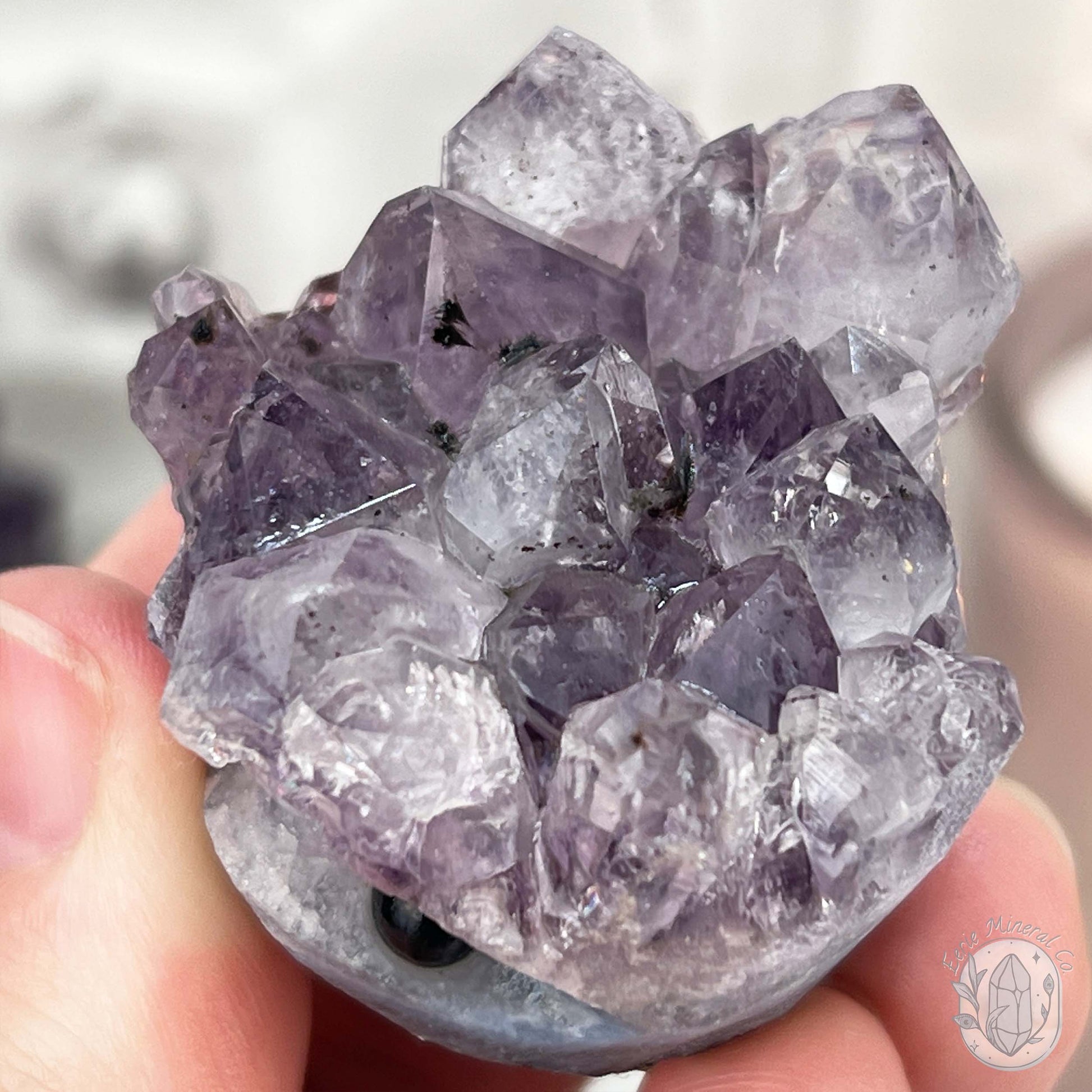 Amethyst Crystal Cluster with Goethite Pet Rock