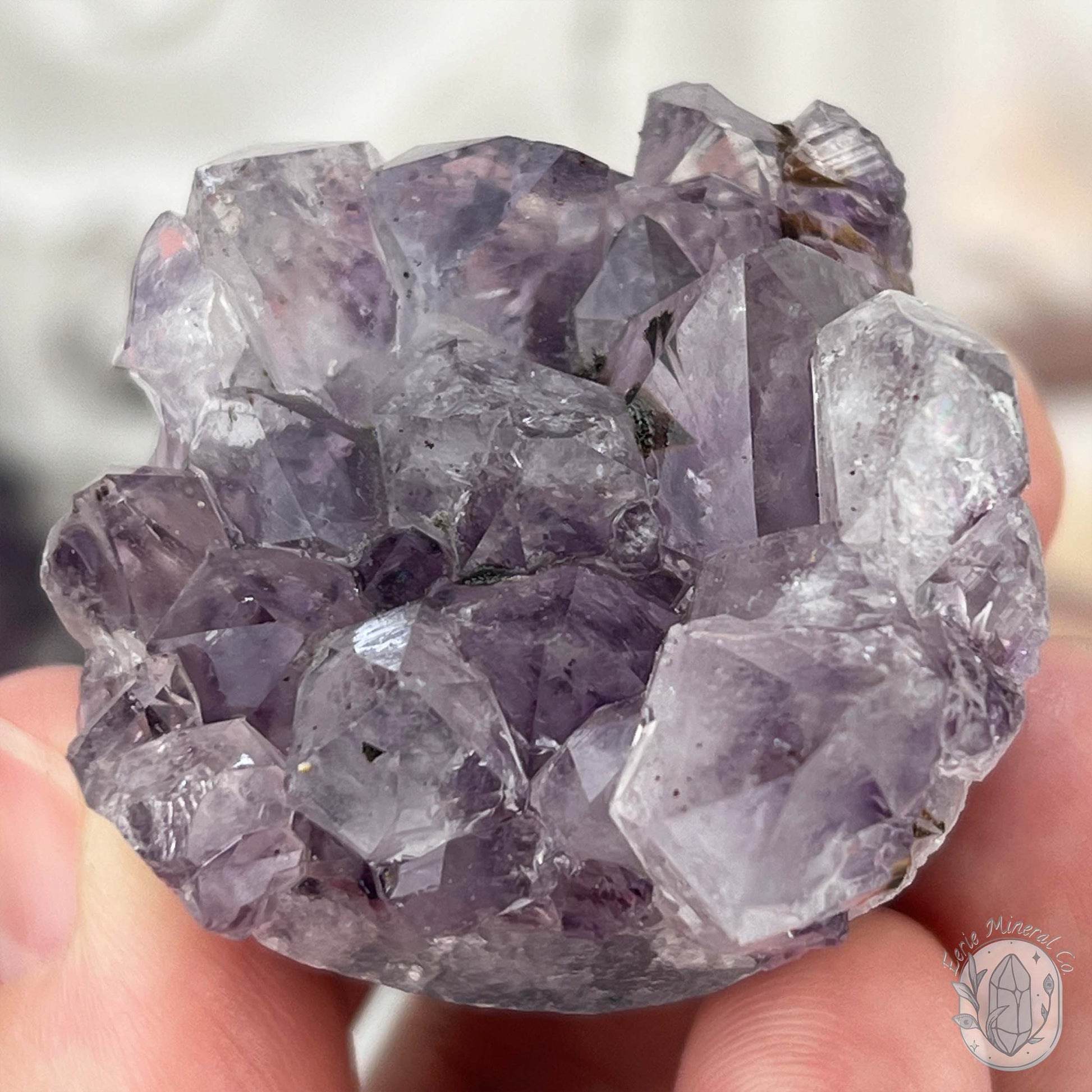 Amethyst Crystal Cluster with Goethite Pet Rock