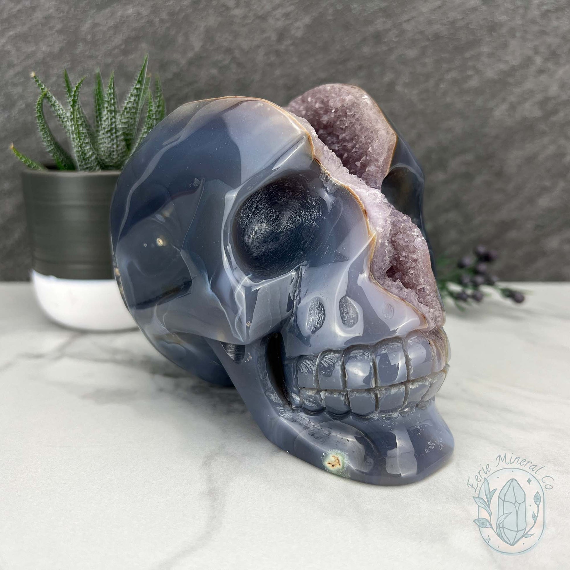 Large 3lb Amethyst Geode Skull Carving