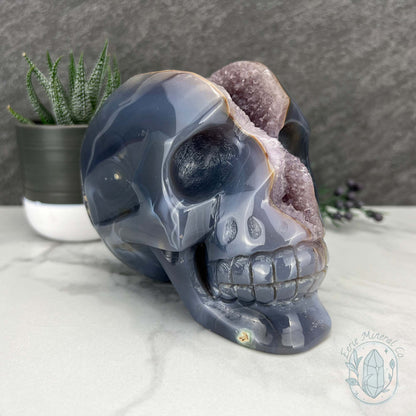 Large 3lb Amethyst Geode Skull Carving
