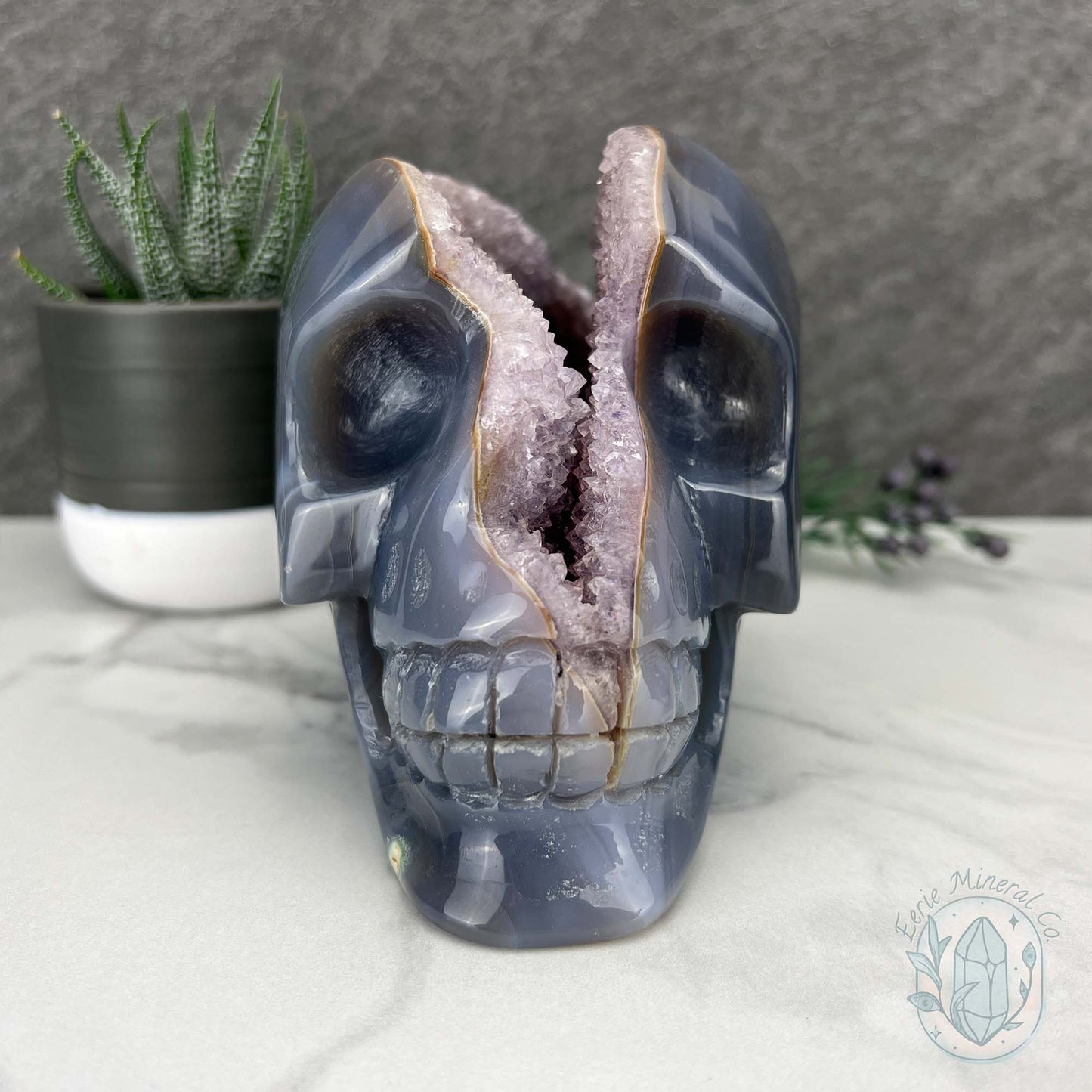 Large 3lb Amethyst Geode Skull Carving