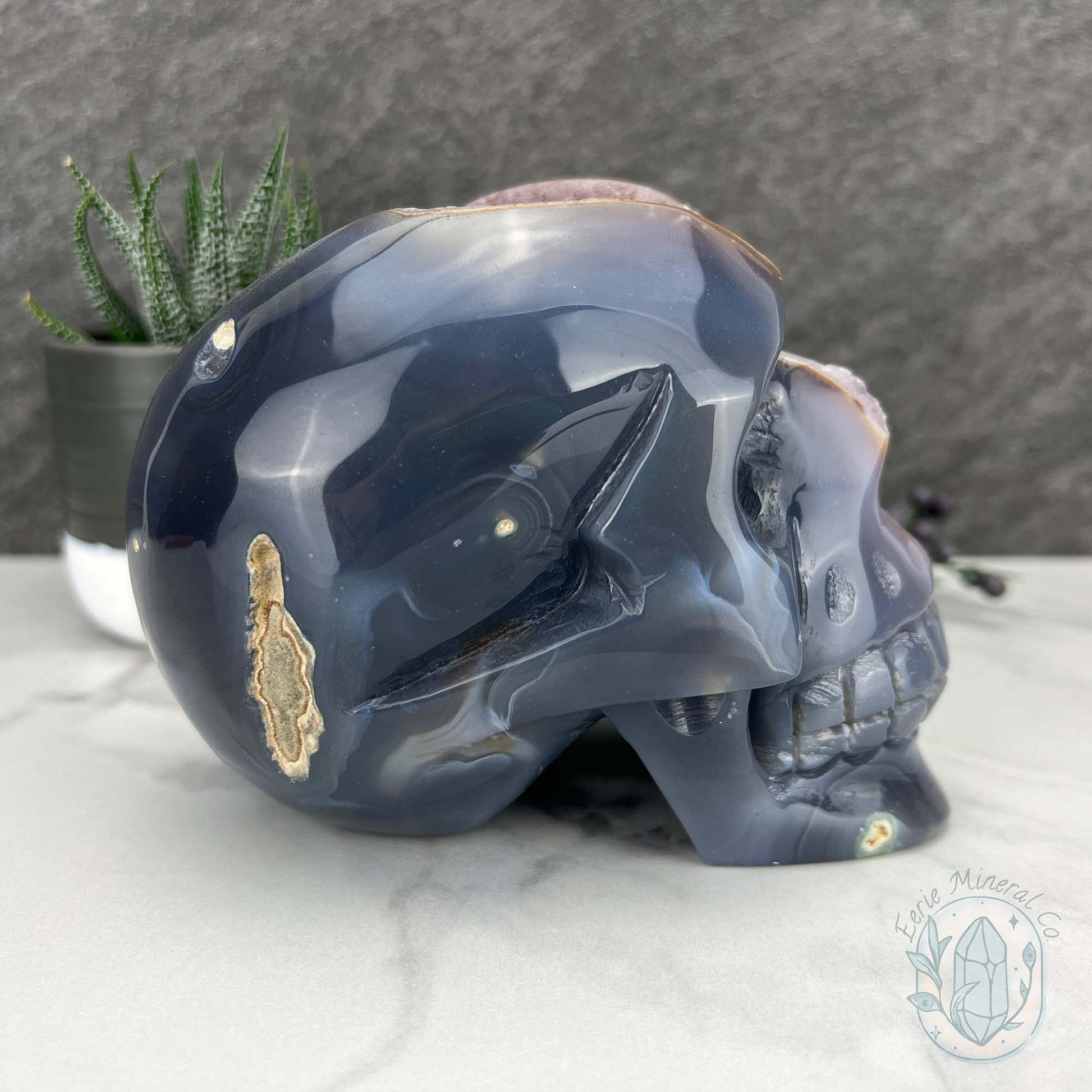 Large 3lb Amethyst Geode Skull Carving
