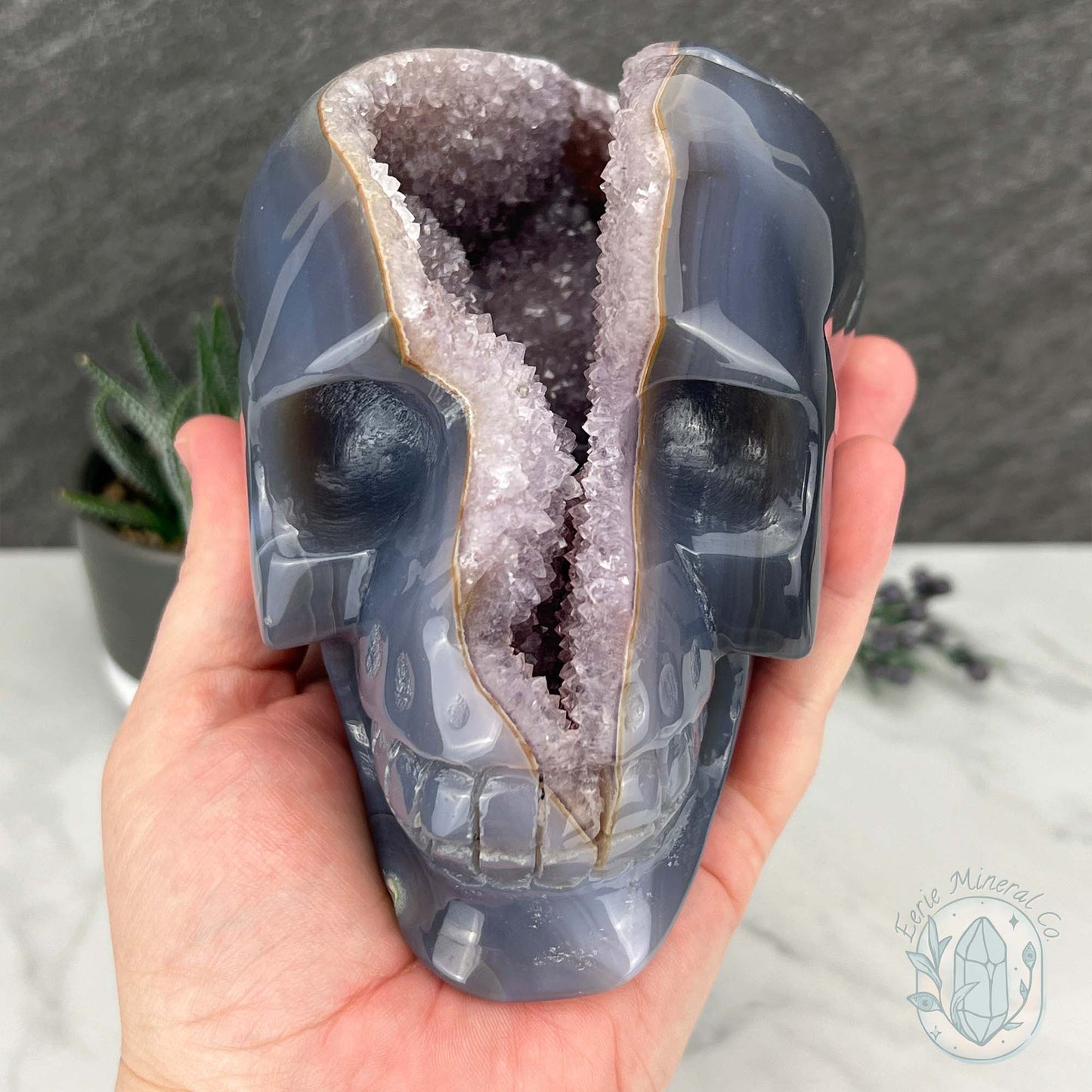 Large 3lb Amethyst Geode Skull Carving
