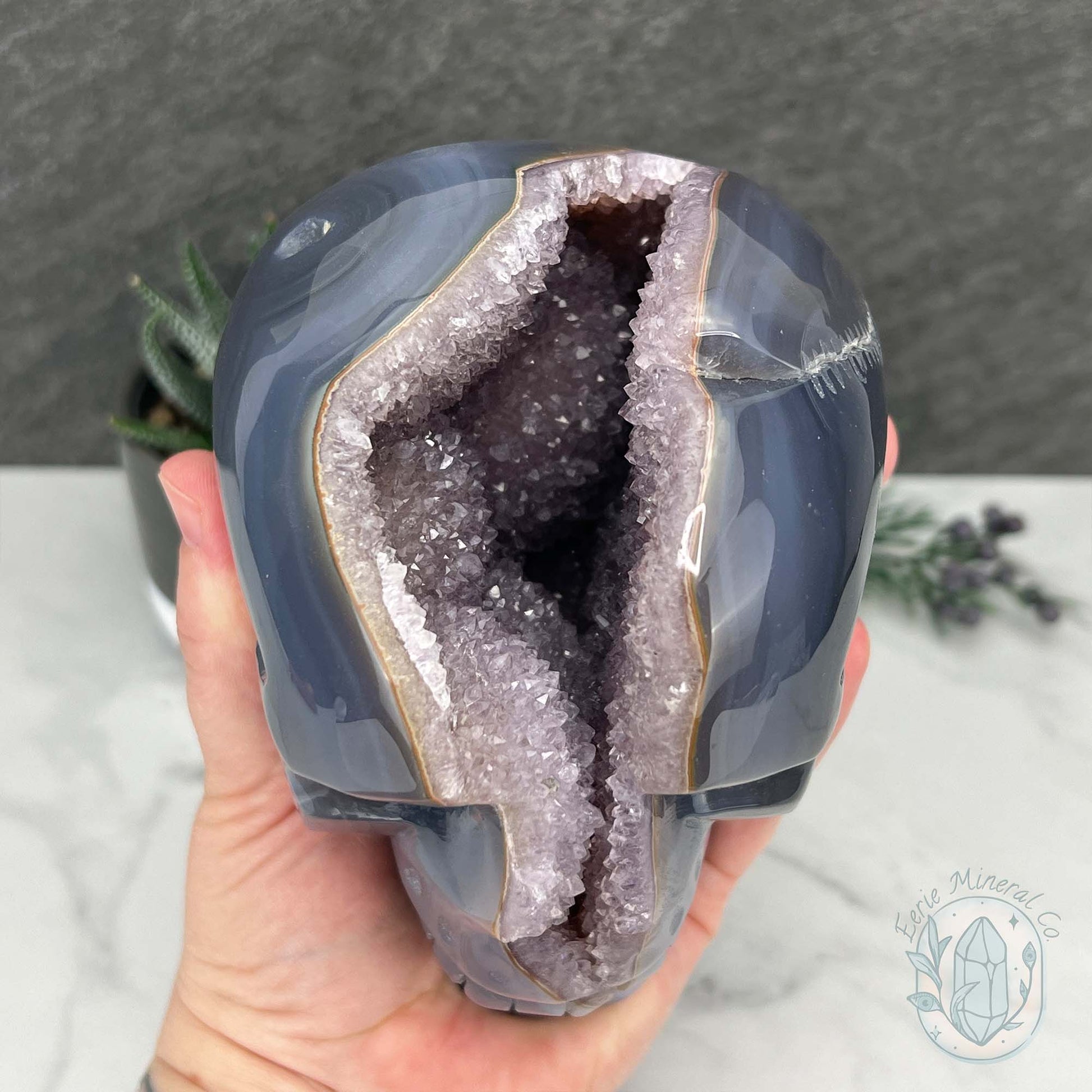 Large 3lb Amethyst Geode Skull Carving