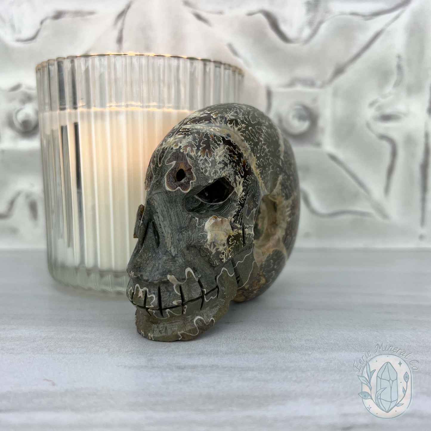 Polished Fossil Cleoniceras Ammonite Skull Carving Fossil