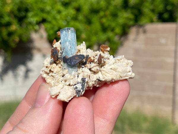 its natural state in a feldspar matrix with black tourmaline and siderite.