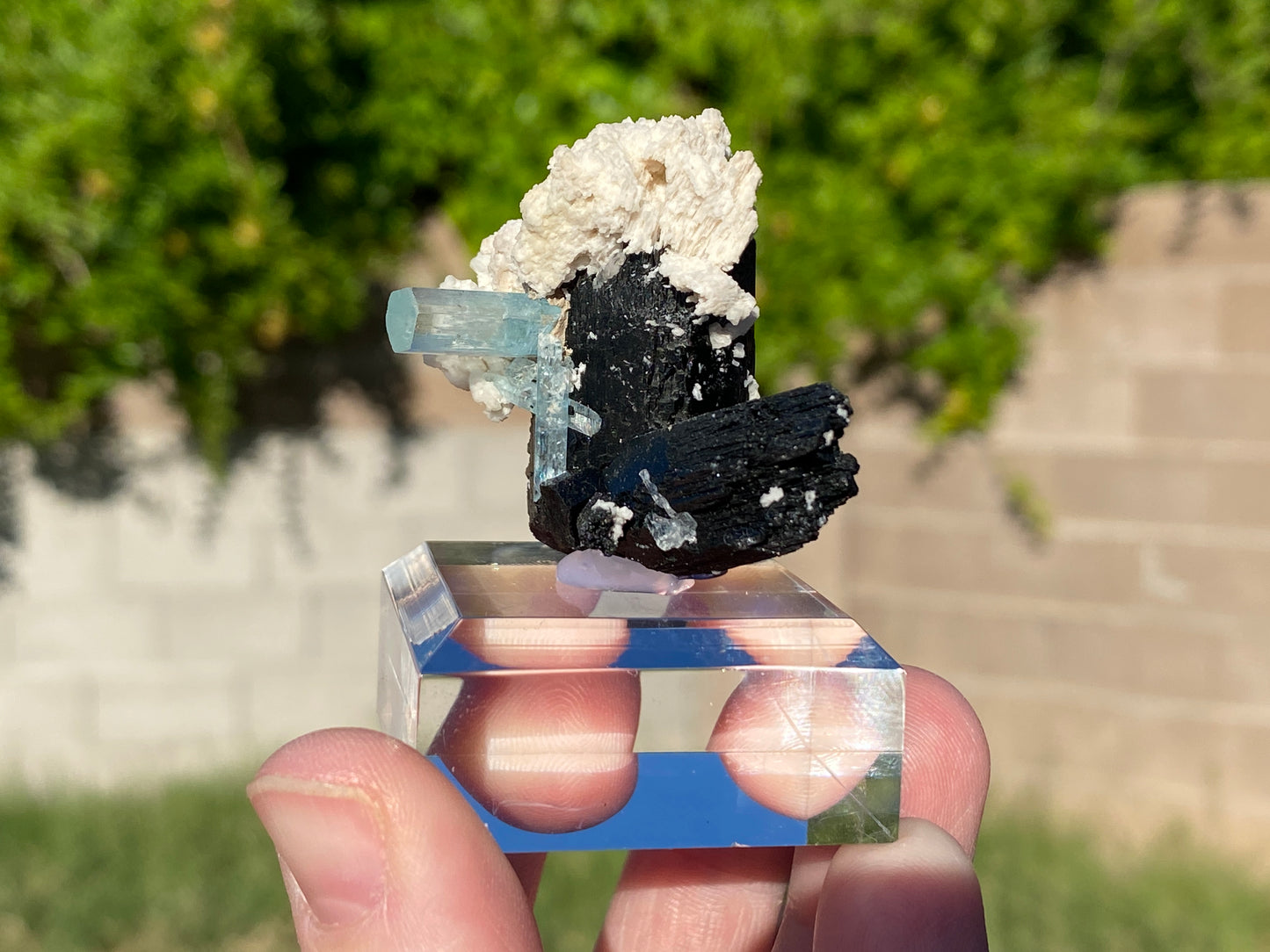 its natural state in a feldspar matrix with black tourmaline.