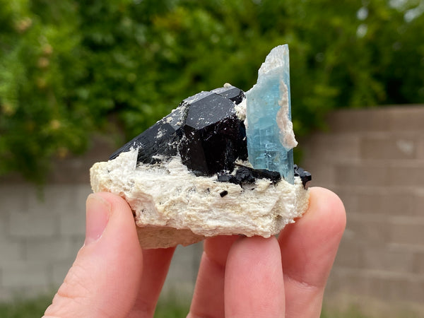 Aquamarine in feldspar with black tourmaline and siderite which is a pseudomorph. This specimen comes from The Republic of Namibia, Southern Africa.  Approx. L-1.9" W-1.3" H-1.4"