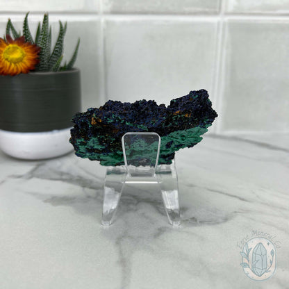 Fibrous Malachite and Druzy Azurite Slab Specimen