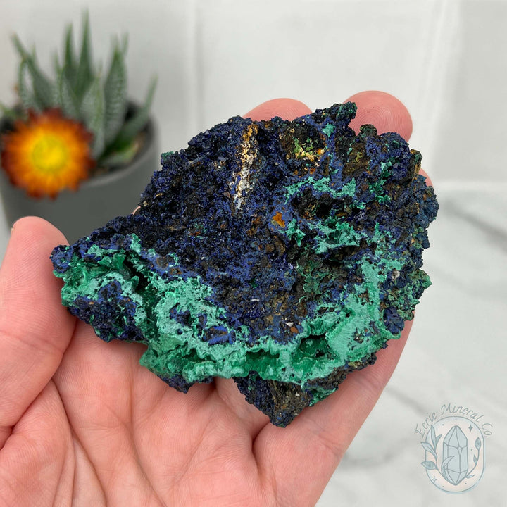 Fibrous Malachite and Druzy Azurite Slab Specimen