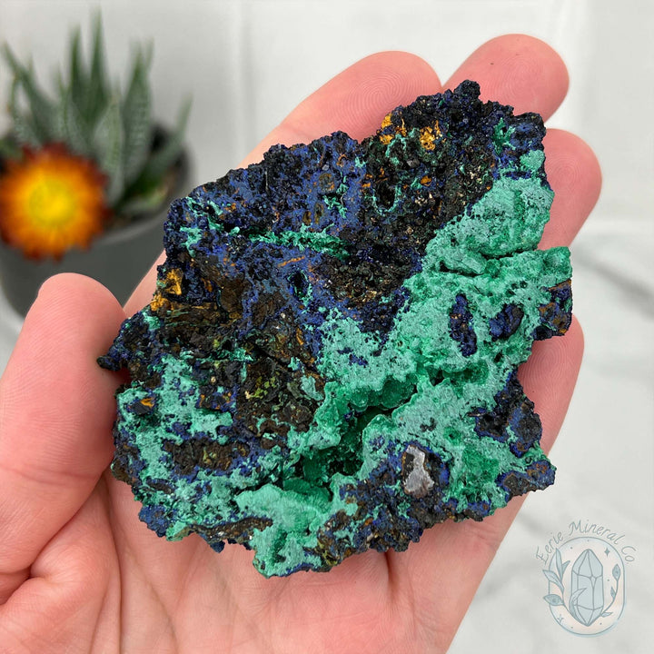 Fibrous Malachite and Druzy Azurite Slab Specimen