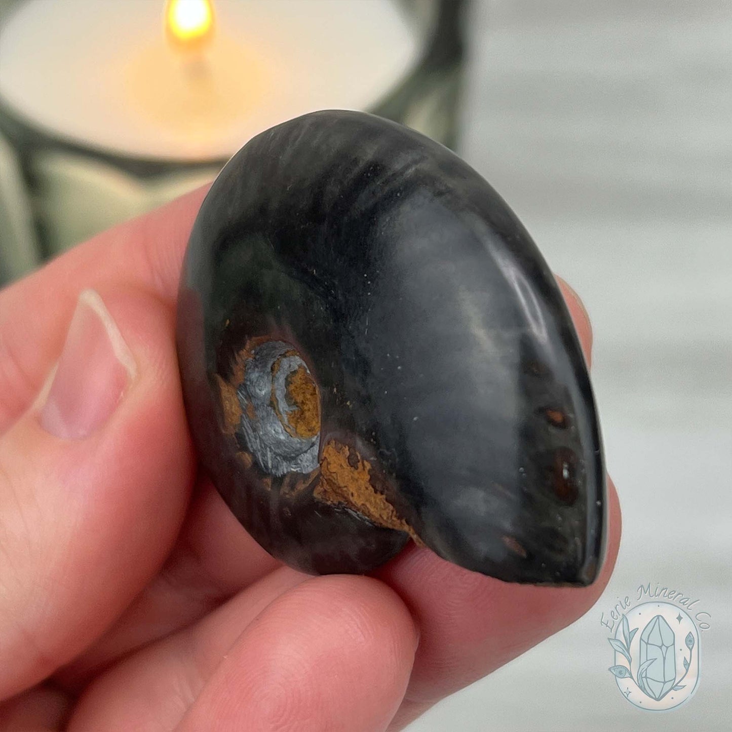 Rare Black Ammonite from Madagascar with Suspension Case