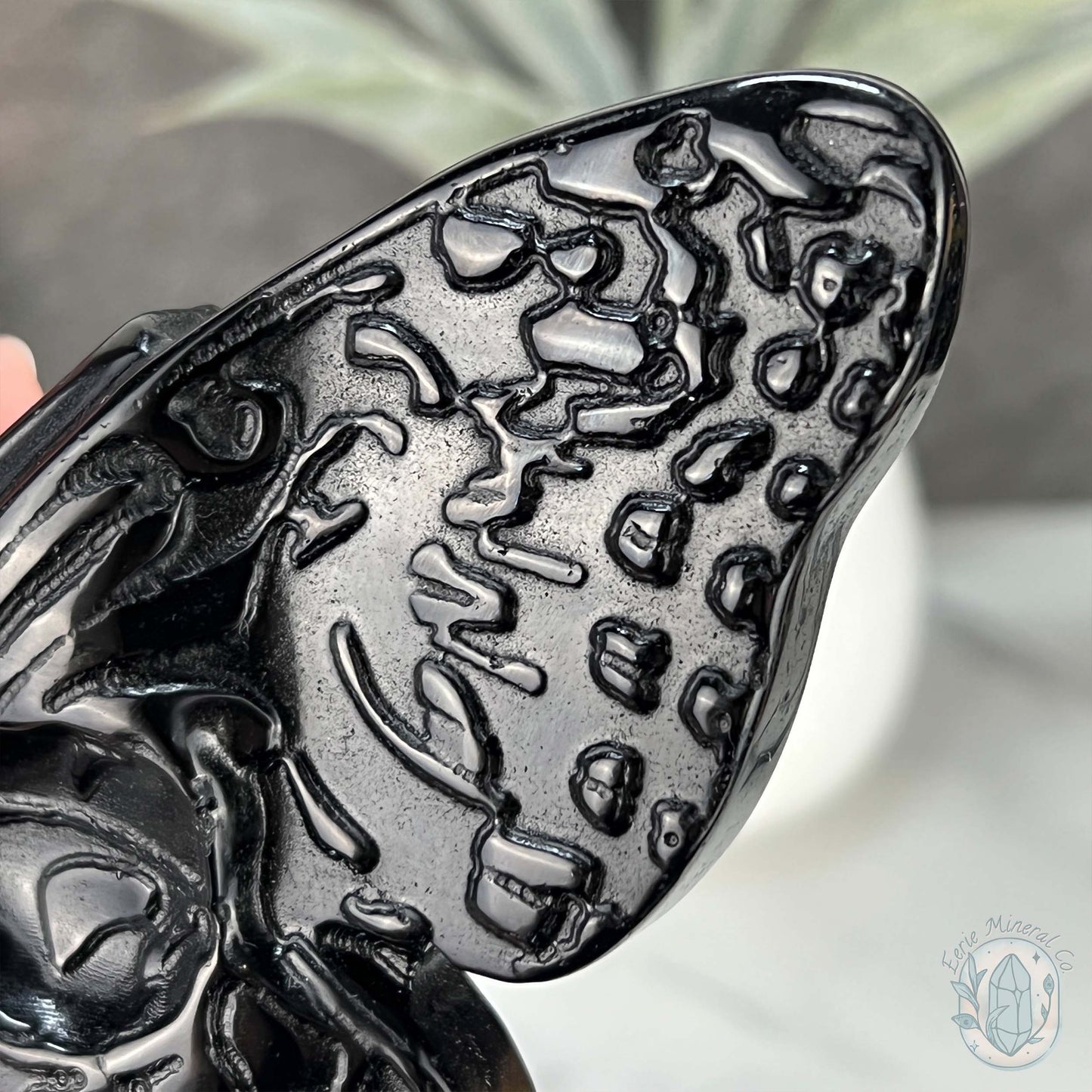 Polished Black Obsidian Death's Head Moth Carving