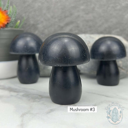 Large Black Obsidian Mushroom Carvings