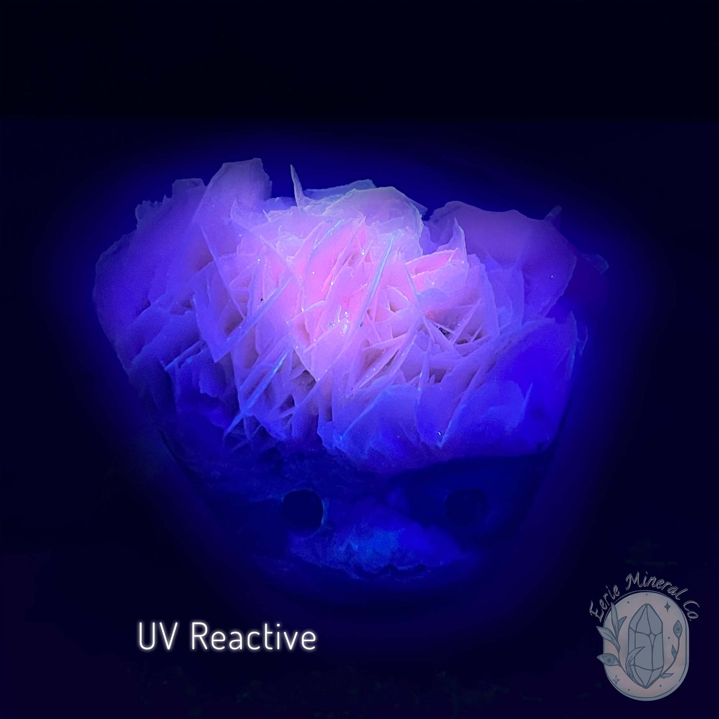 UV Reactive Bladed, Paper Calcite Hedgehog Specimen