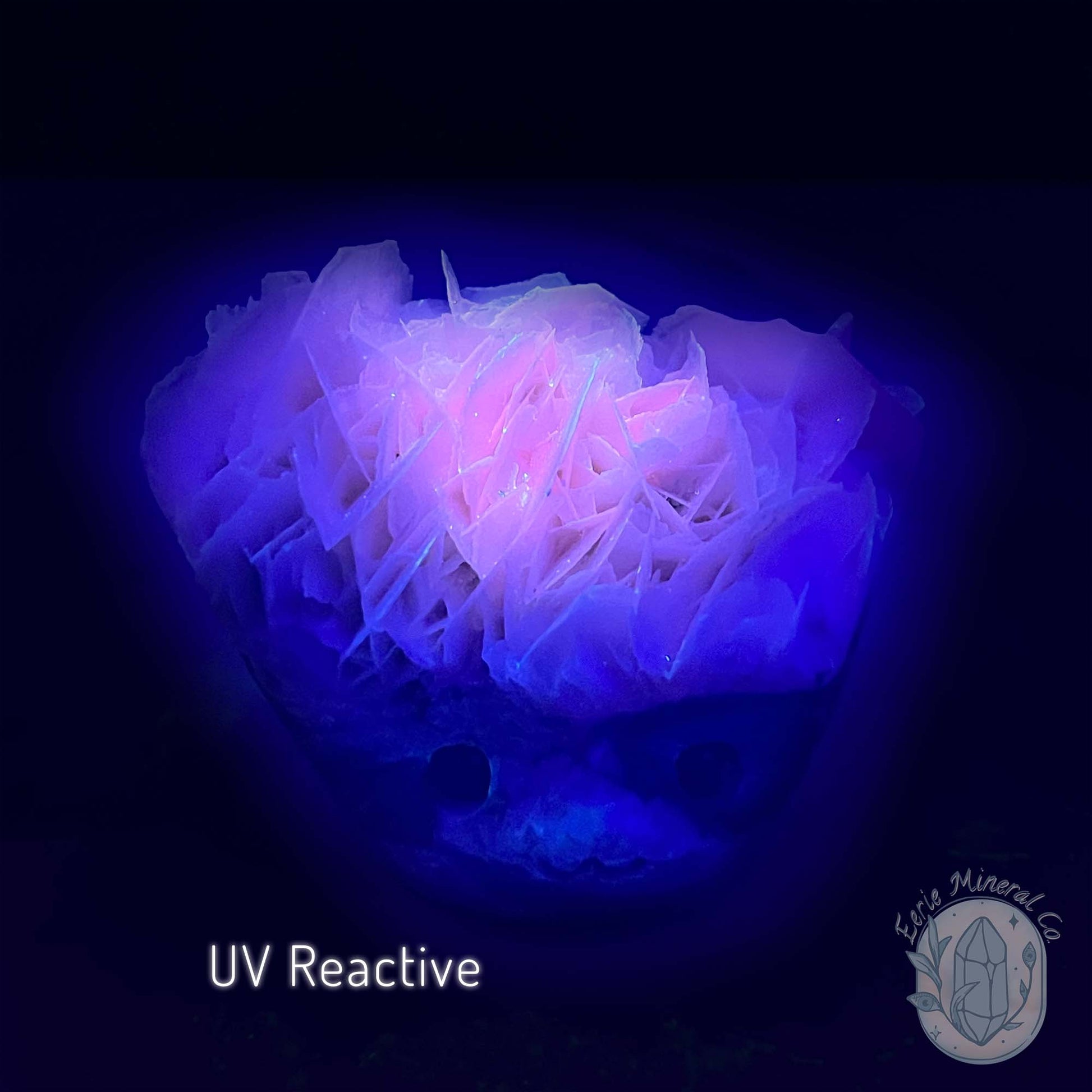 UV Reactive Bladed, Paper Calcite Hedgehog Specimen