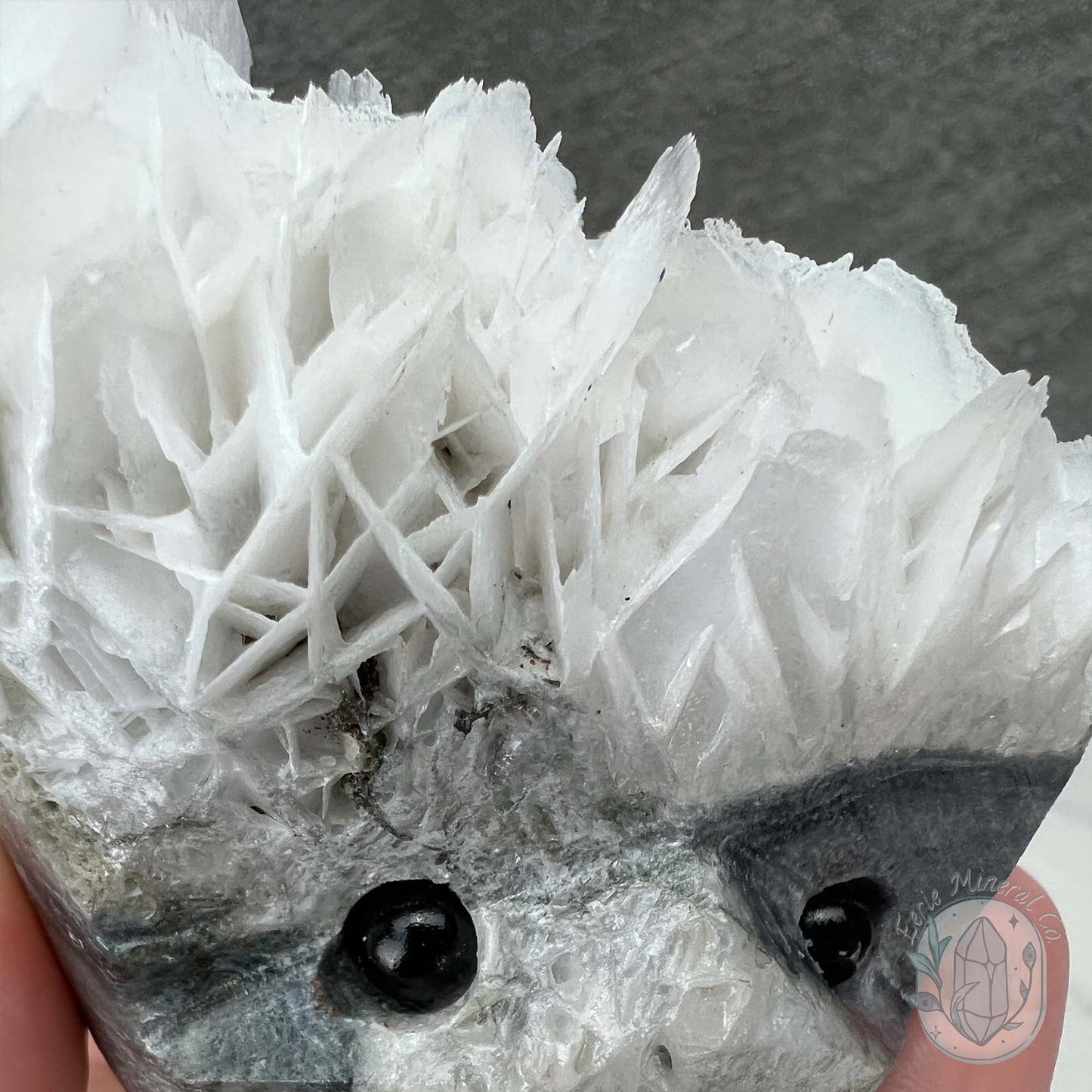 UV Reactive Bladed, Paper Calcite Hedgehog Specimen