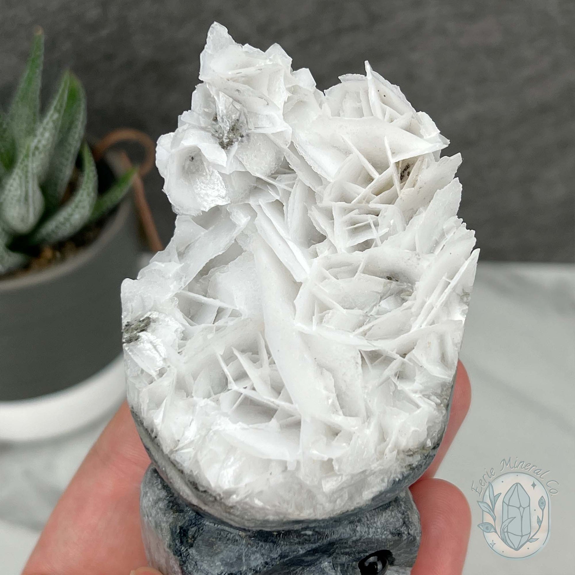 UV Reactive Bladed, Paper Calcite Hedgehog Specimen