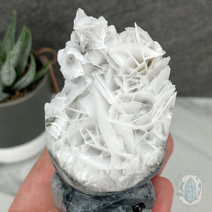 UV Reactive Bladed, Paper Calcite Hedgehog Specimen