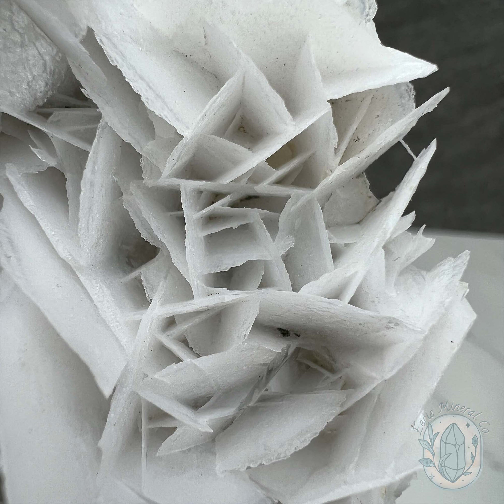 UV Reactive Bladed, Paper Calcite Hedgehog Specimen