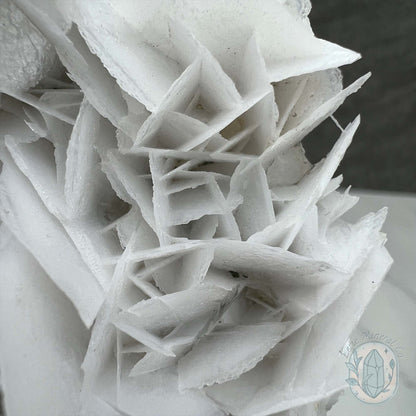 UV Reactive Bladed, Paper Calcite Hedgehog Specimen