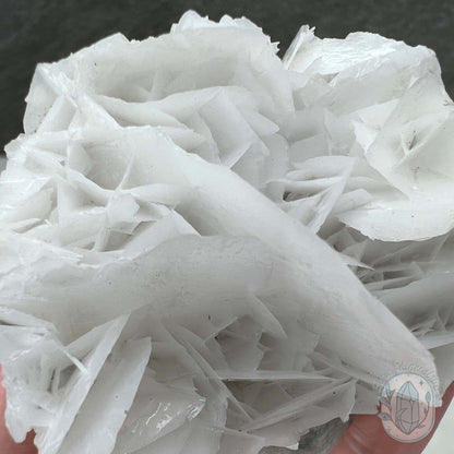 UV Reactive Bladed, Paper Calcite Hedgehog Specimen