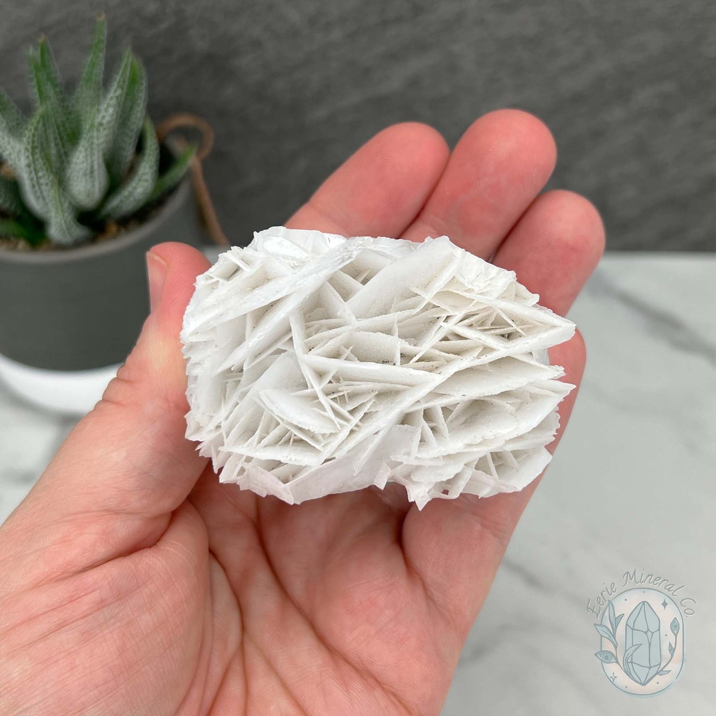 UV Reactive Bladed, Paper Calcite Hedgehog Specimen