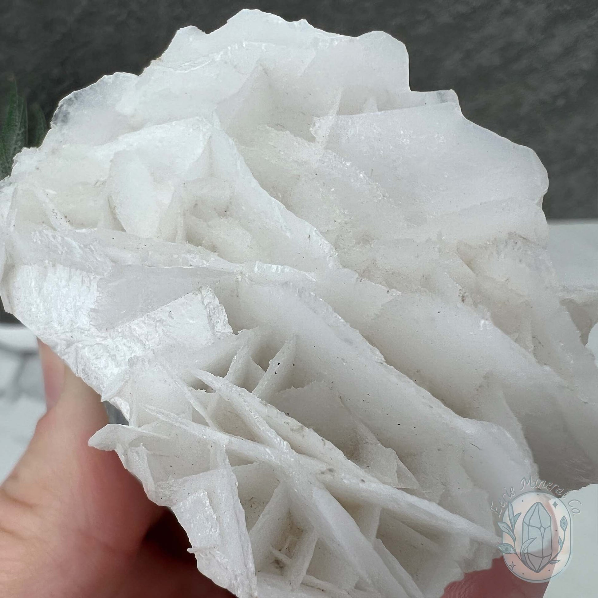 UV Reactive Bladed, Paper Calcite Hedgehog Specimen