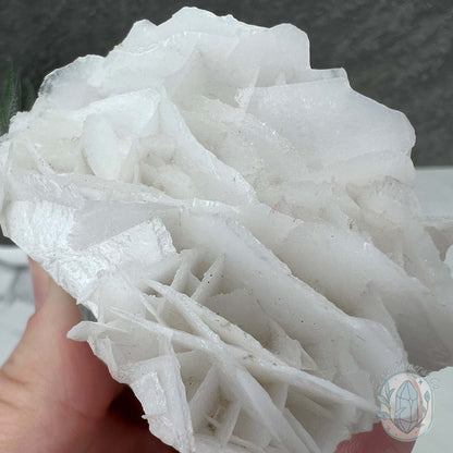 UV Reactive Bladed, Paper Calcite Hedgehog Specimen
