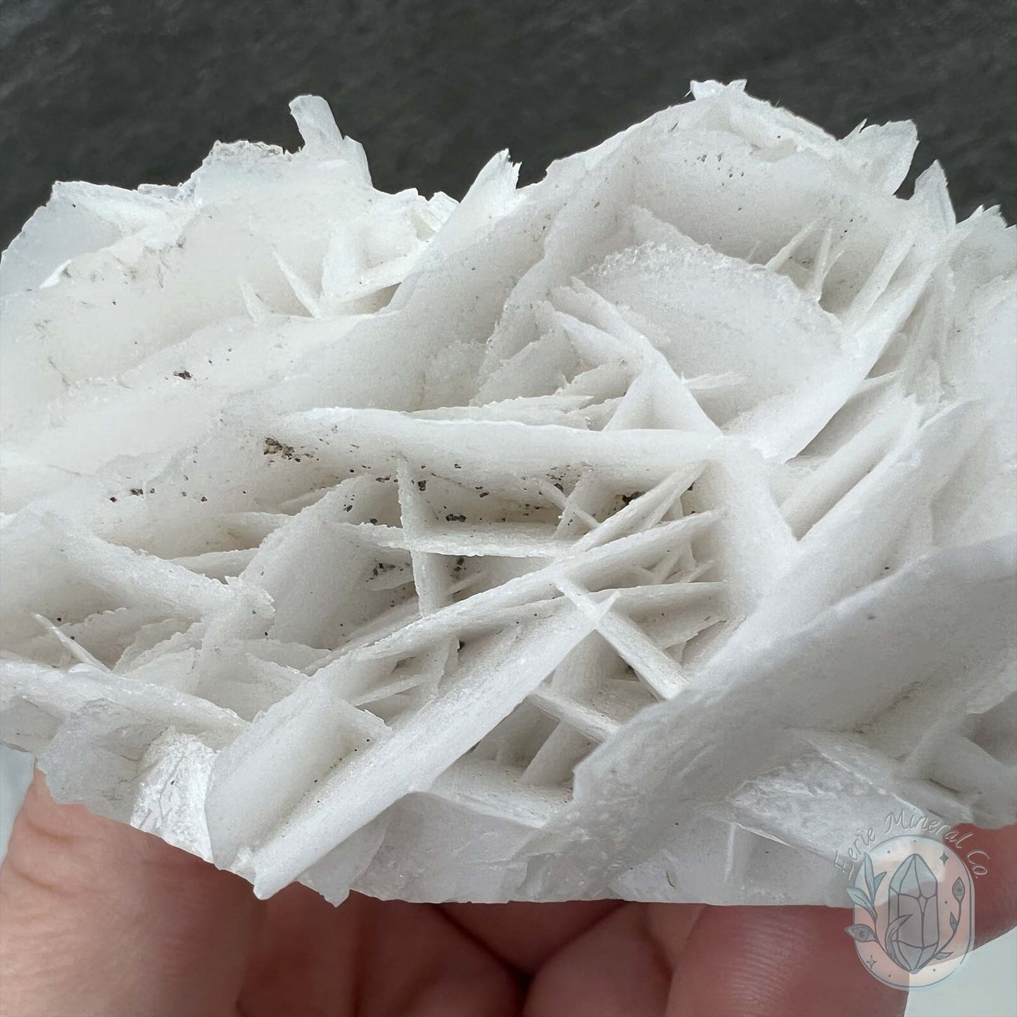 UV Reactive Bladed, Paper Calcite Hedgehog Specimen