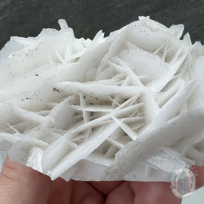 UV Reactive Bladed, Paper Calcite Hedgehog Specimen