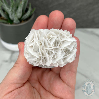 UV Reactive Bladed Calcite Hedgehog Specimen