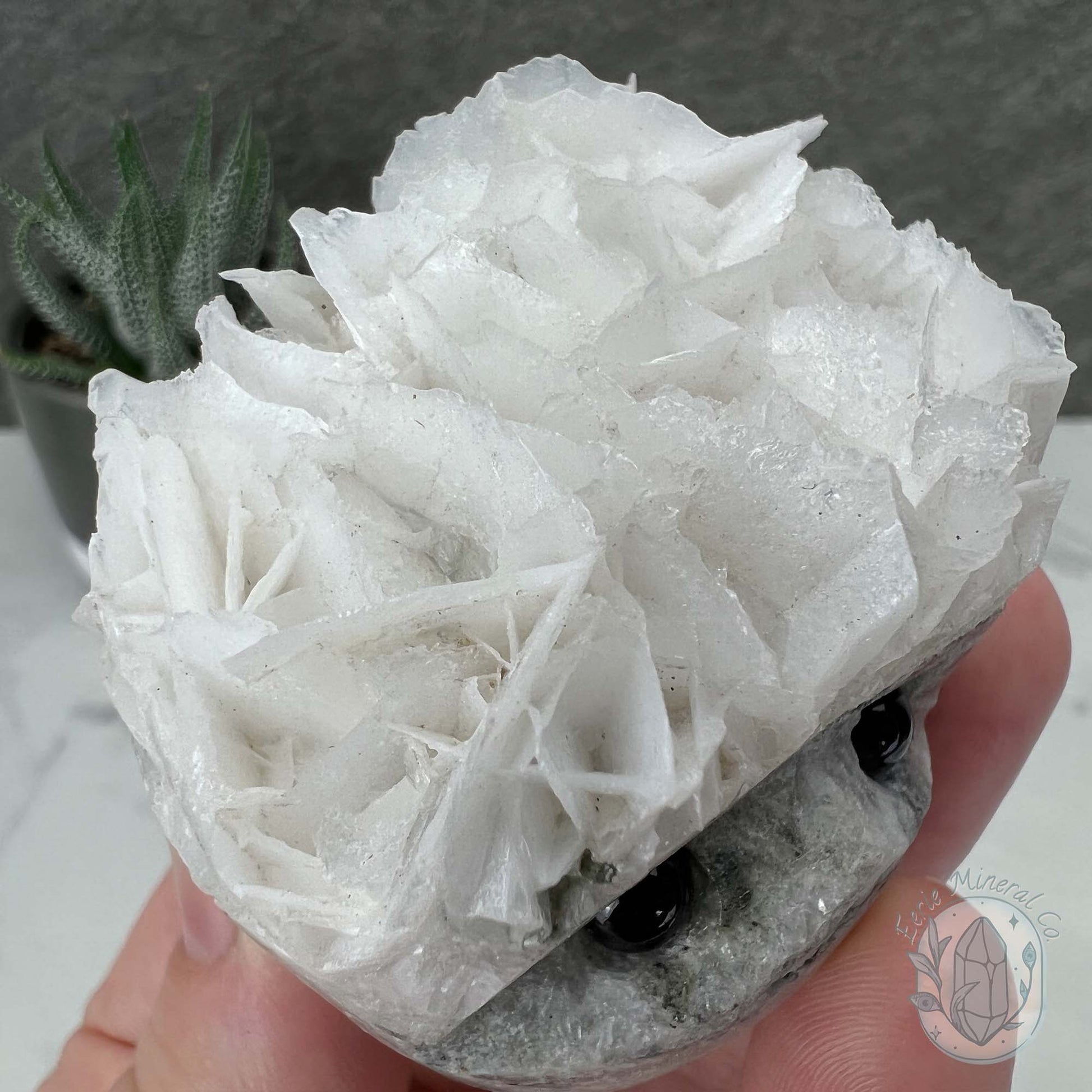 UV Reactive Bladed Calcite Hedgehog Specimen