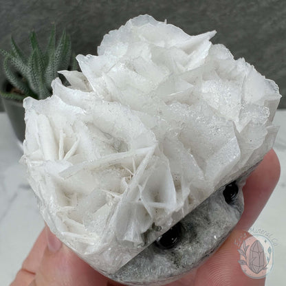 UV Reactive Bladed Calcite Hedgehog Specimen