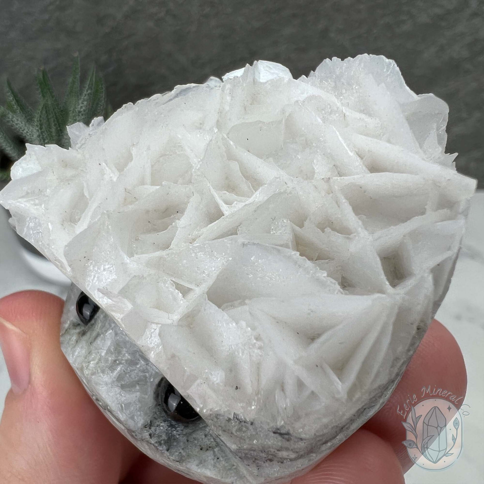 UV Reactive Bladed Calcite Hedgehog Specimen